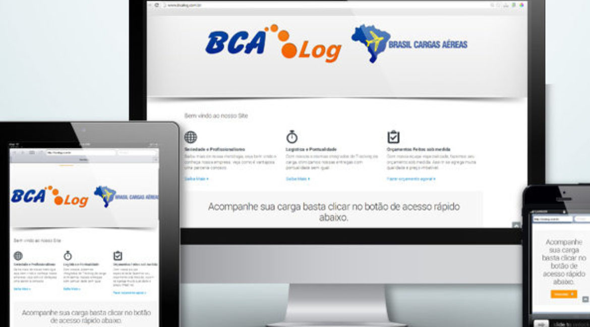 BCA Log